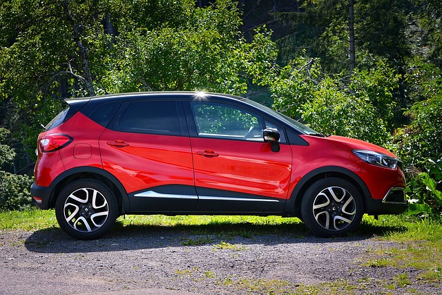 automobile, suv, vehicle, small car, passenger cars, red, nature, suv, suv, suv, suv, suv