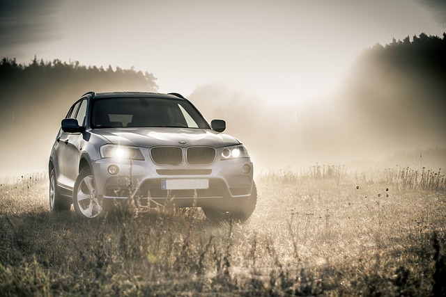 bmw, suv, auto, fog, autumn, headlights, shiny car, car, vehicle, transportation, parked car, automobile, car wallpapers, automotive