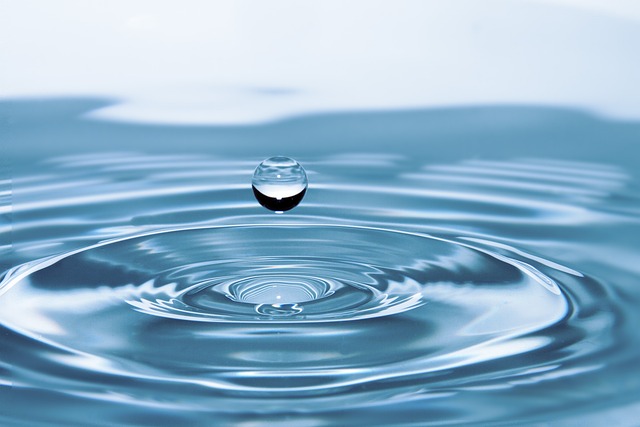 drop of water, nature, drop, impact, ripples, water, surface tension, surface, water surface, droplet
