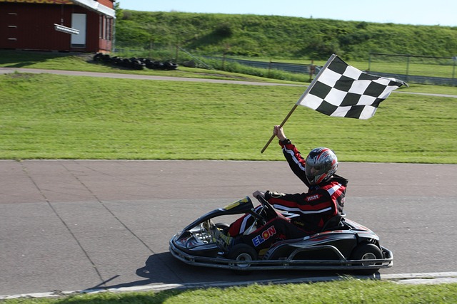 go-kart, racing, drive, sport, finish, flag, carting, green sports, finish, finish, finish, finish, finish, carting